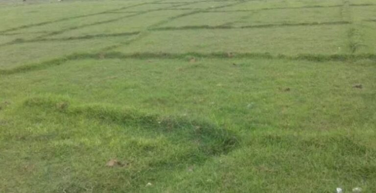 बाढीको त्रासले सयौँ बिघा जमिन बाँझै