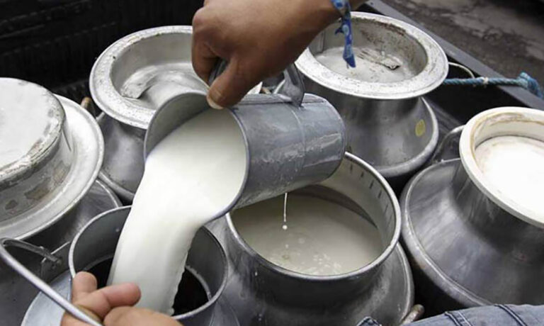 दूधमा आत्मनिर्भर काभ्रेः ७० प्रतिशत आपूर्ति अन्यत्र जिल्लामा